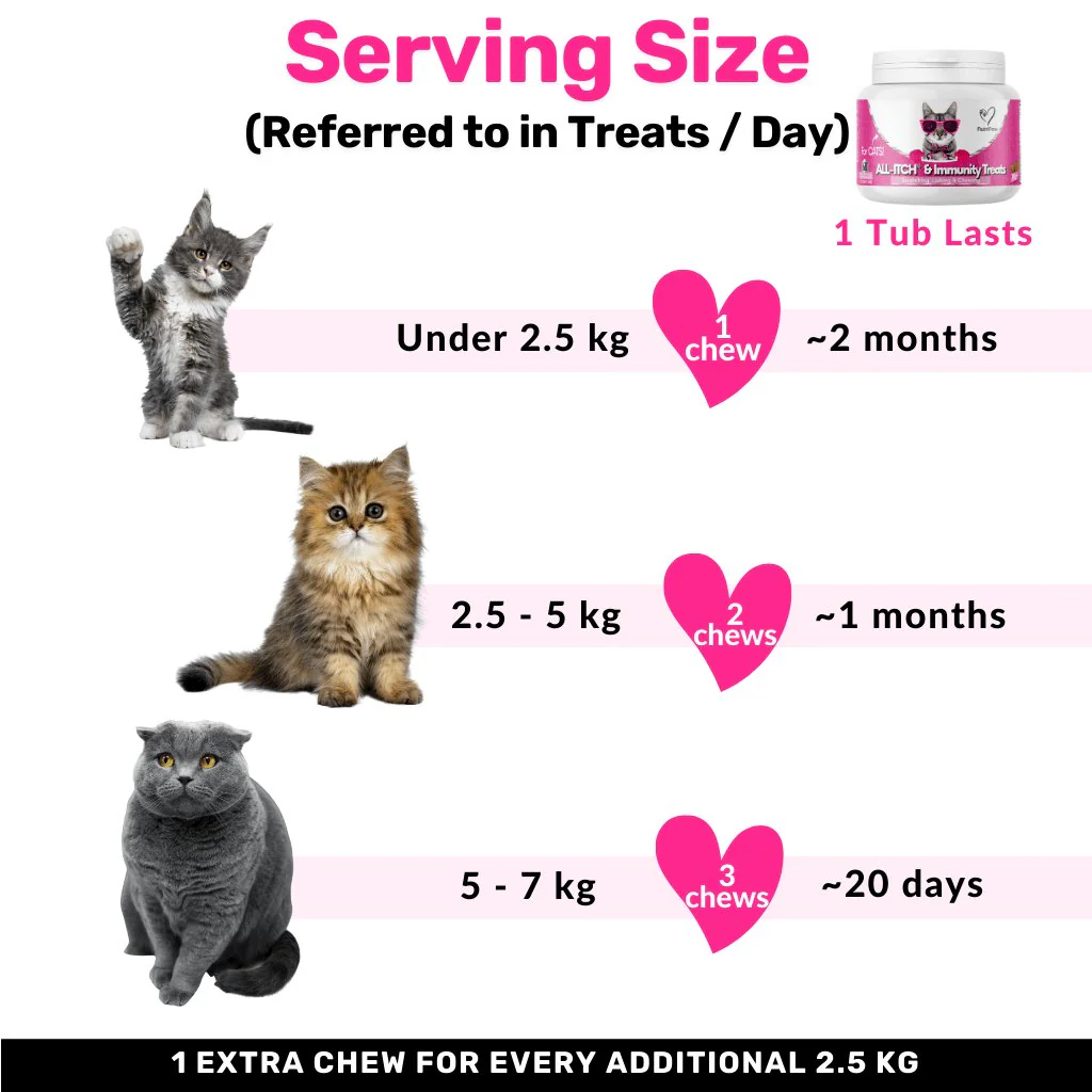 All-Itch Chews for Cats - Image 11