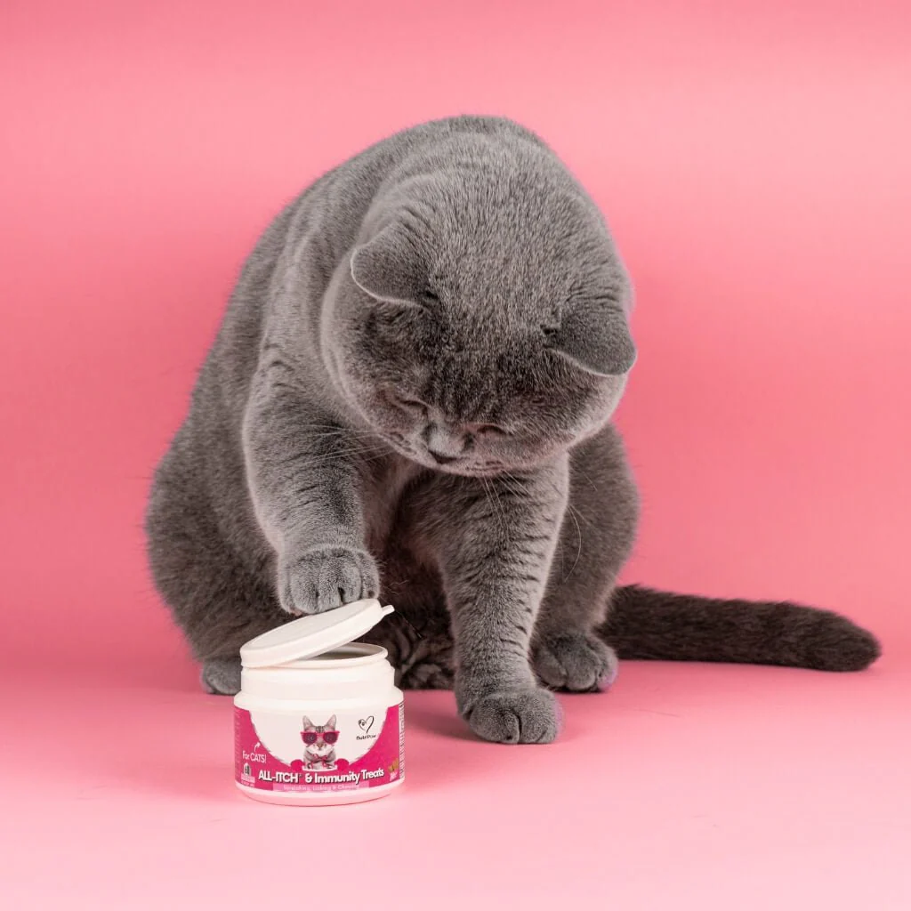 All-Itch Chews for Cats - Image 12