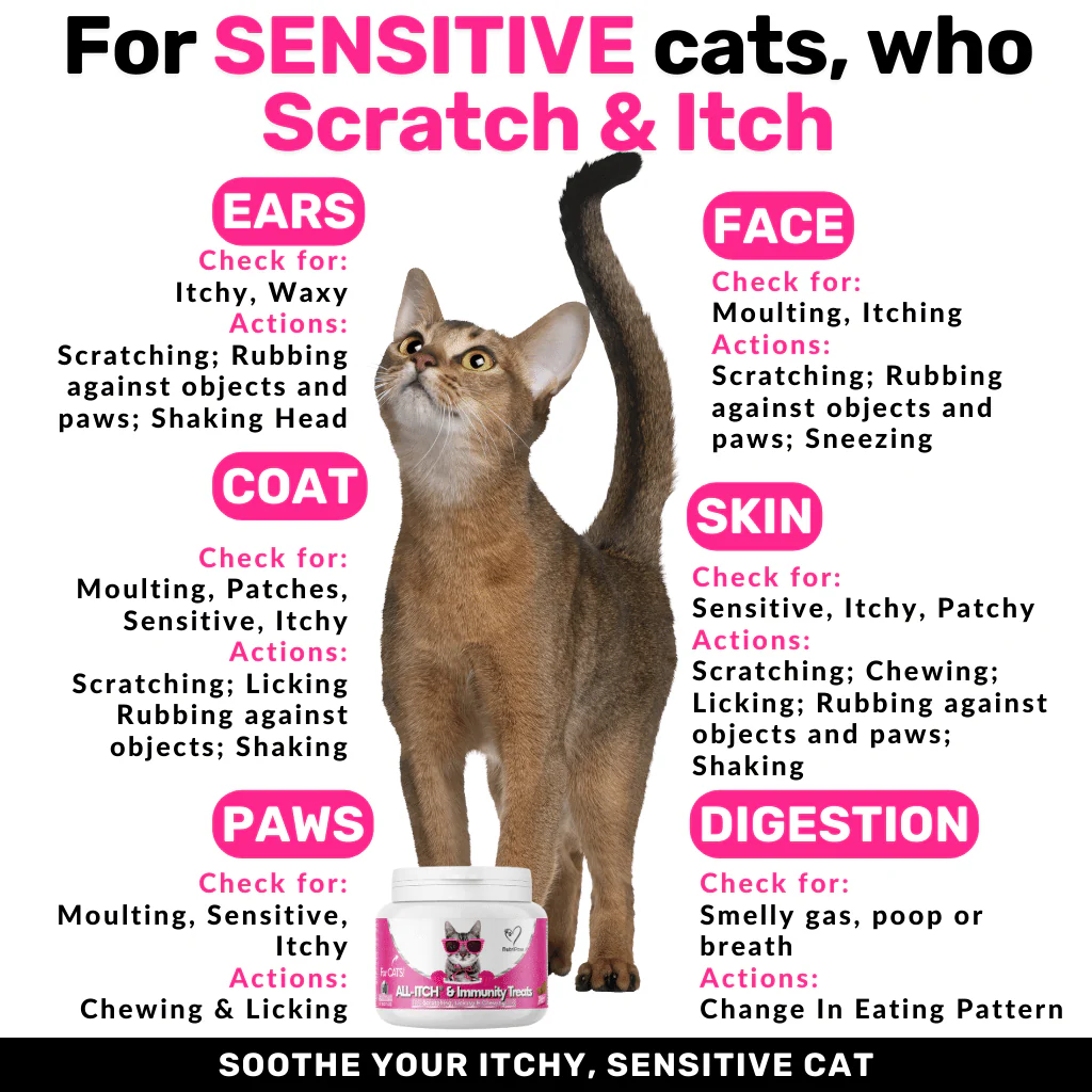 All-Itch Chews for Cats - Image 3
