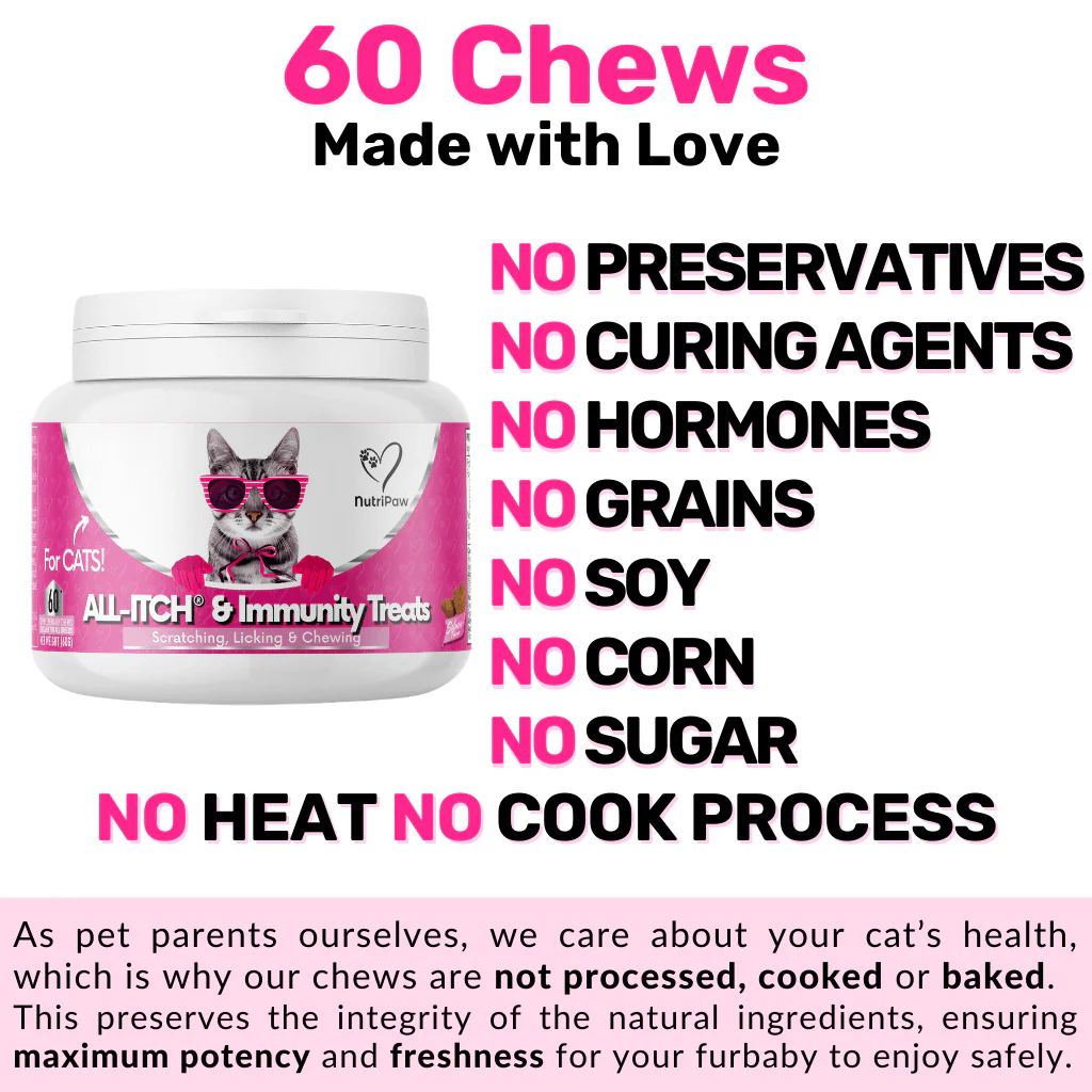 All-Itch Chews for Cats - Image 9