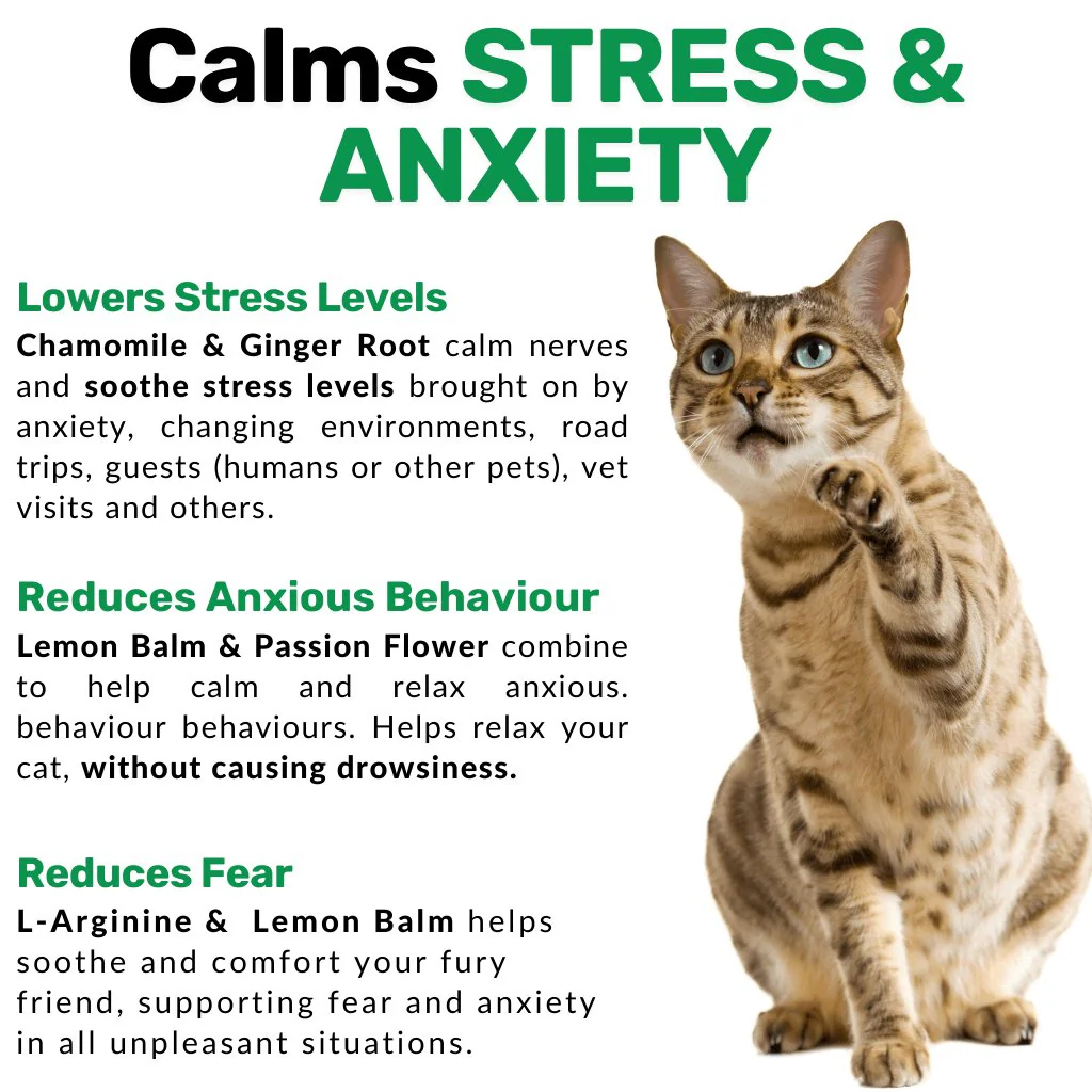 Calming Chew for Cats - Image 3