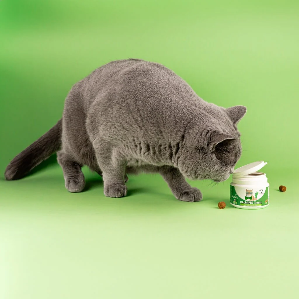 Calming Chew for Cats - Image 4
