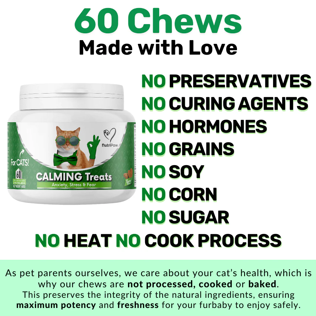 Calming Chew for Cats - Image 9
