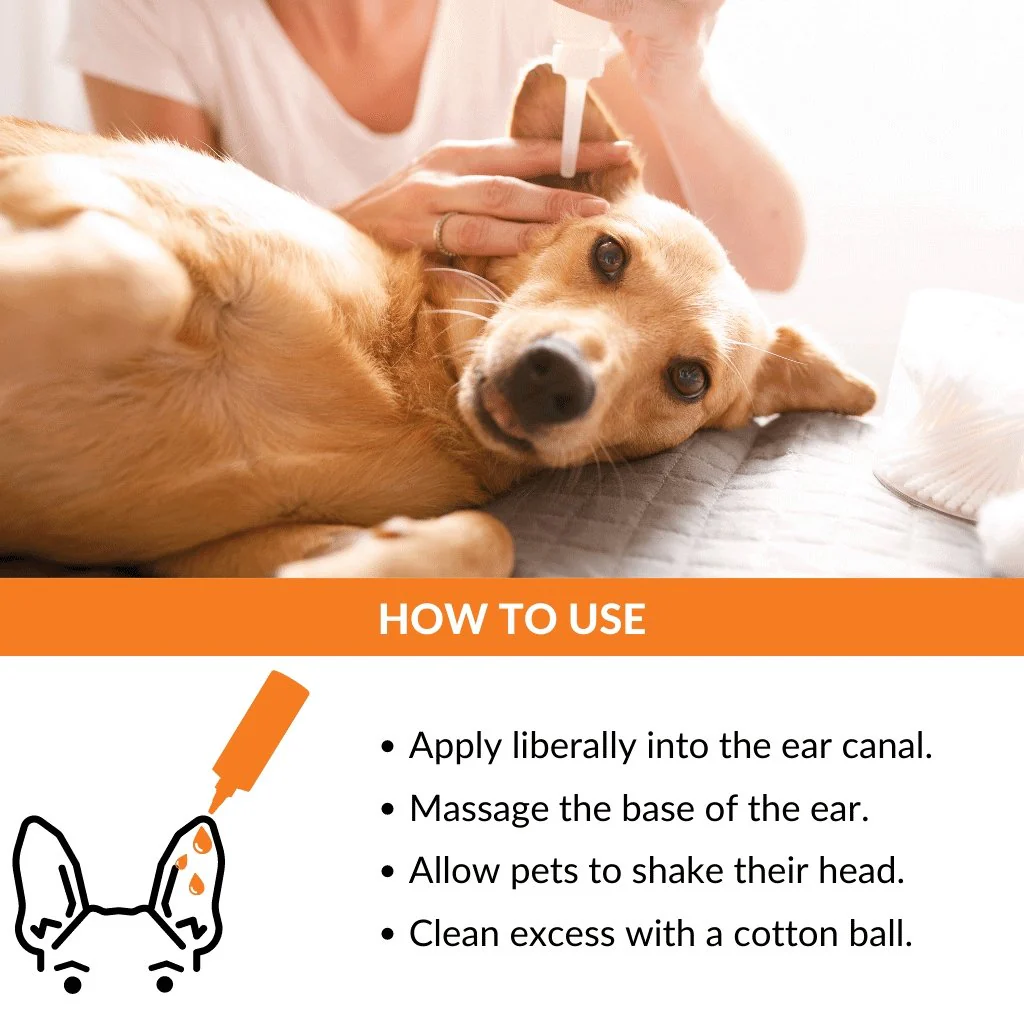 ClearEar Kit - Image 8