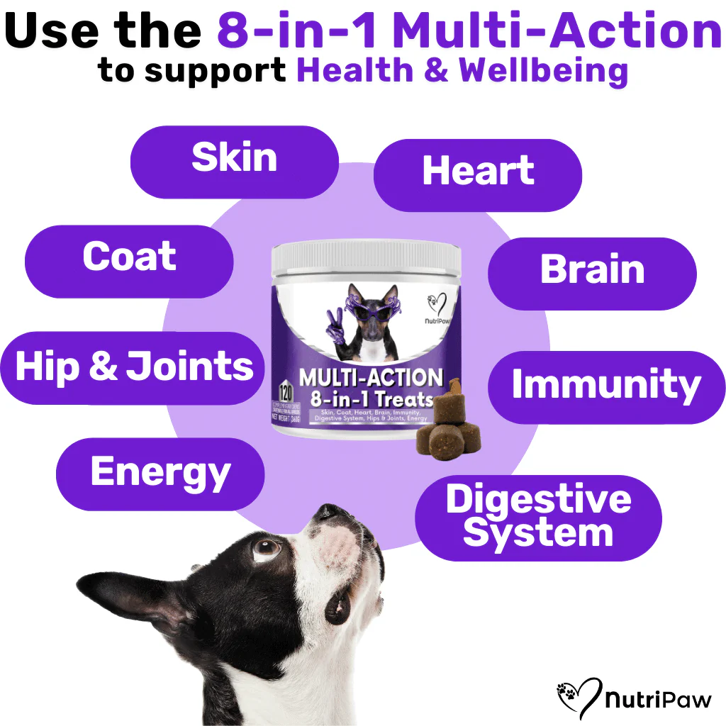 Defence & Wellness Kit - Image 6