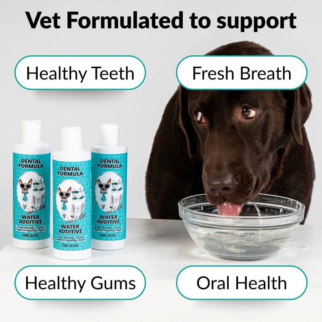 Dental Formula Water Additive - Image 7