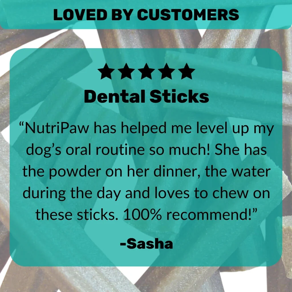 Dental Sticks - Image 4