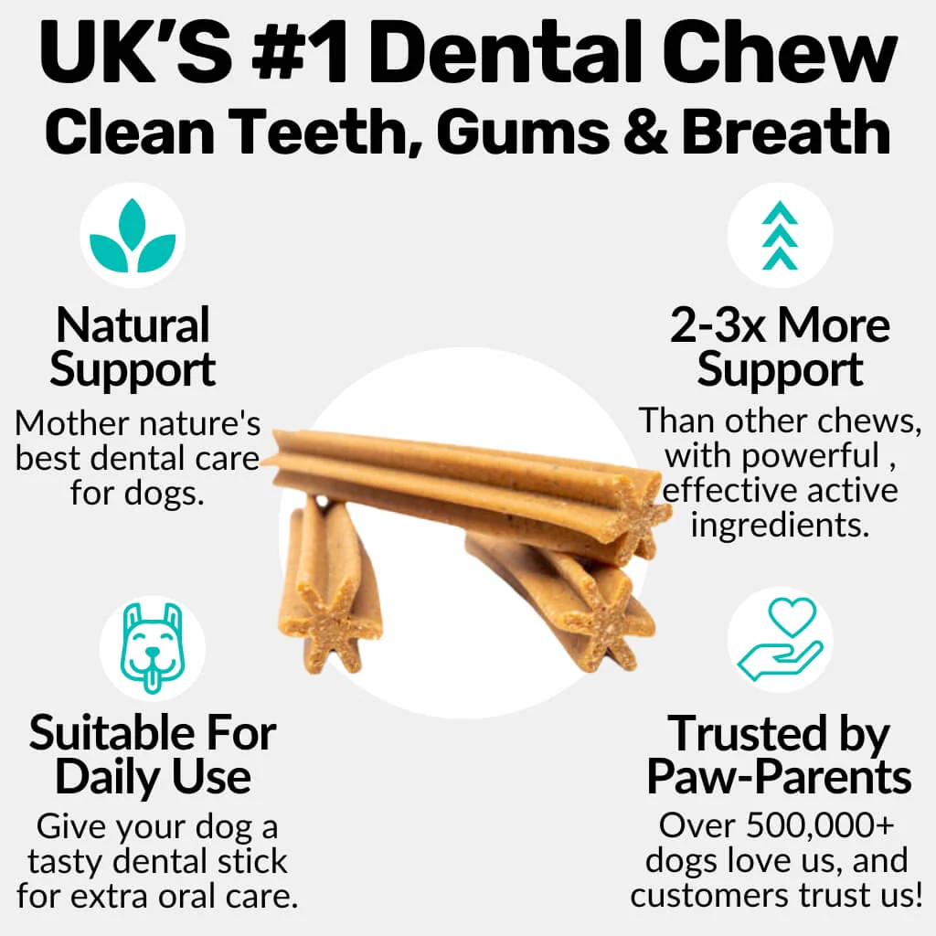 Dental Sticks - Image 5