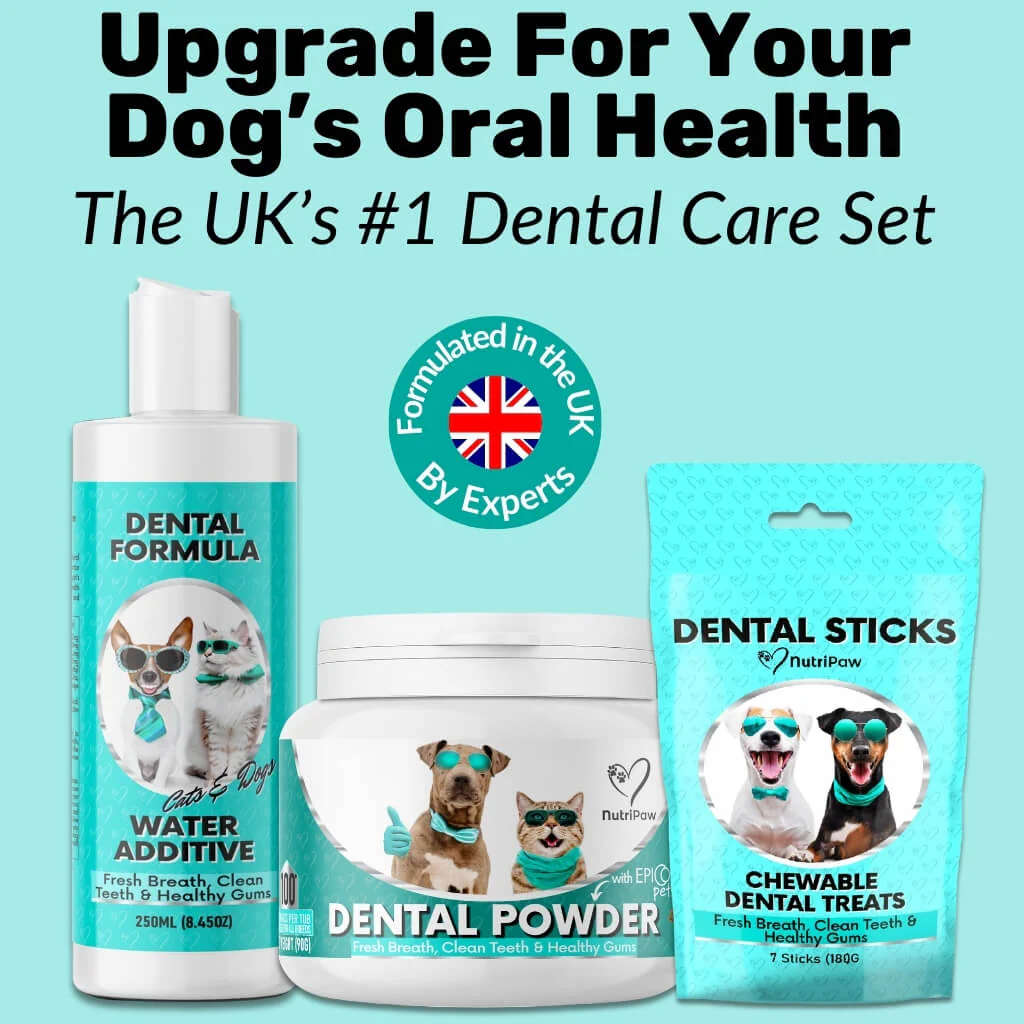 Dental Sticks - Image 6