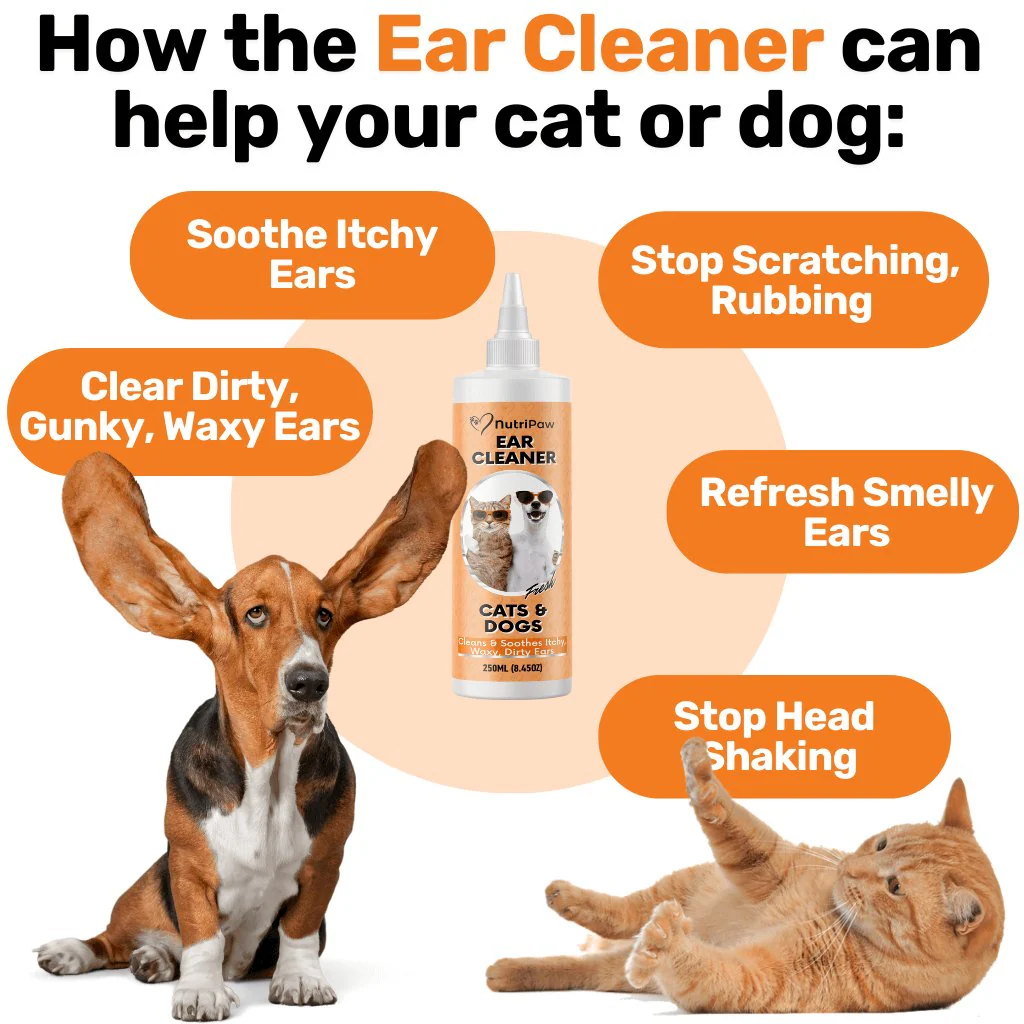 Ear Cleaner - Image 3