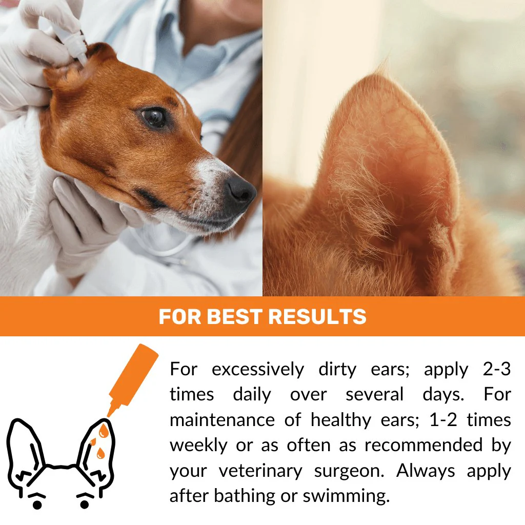 Ear Cleaner - Image 4