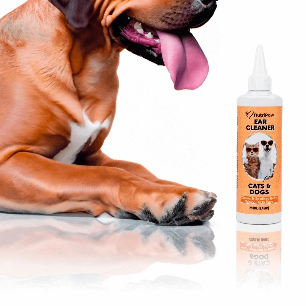 Ear Cleaner - Image 7
