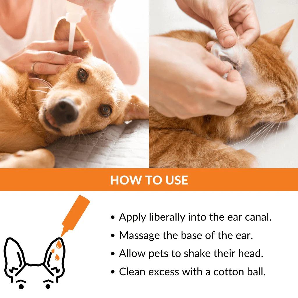 Ear Cleaner - Image 8