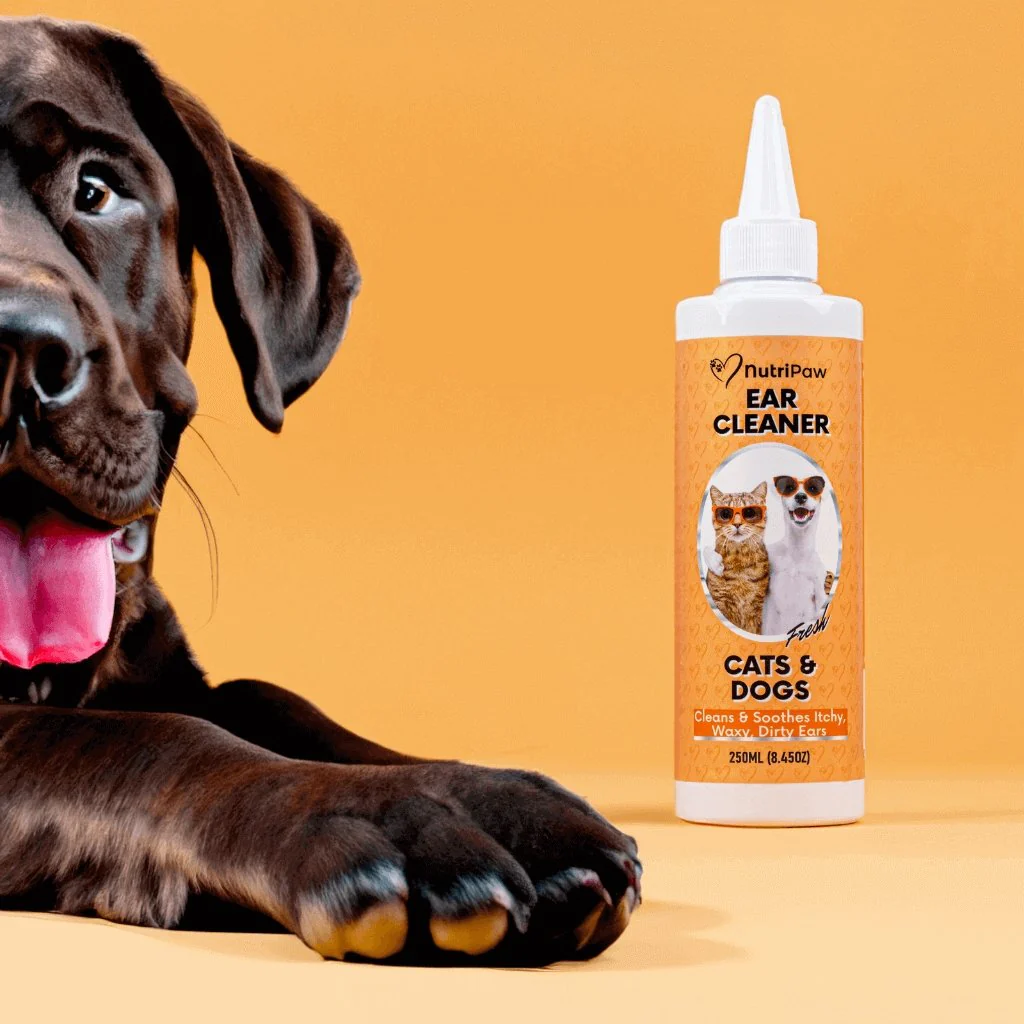 Ear Cleaner - Image 9