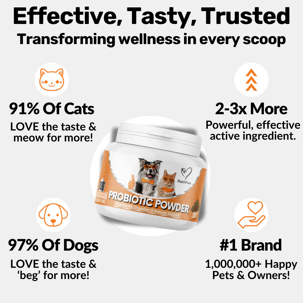 Gut & Teeth Powder Kit - Image 5