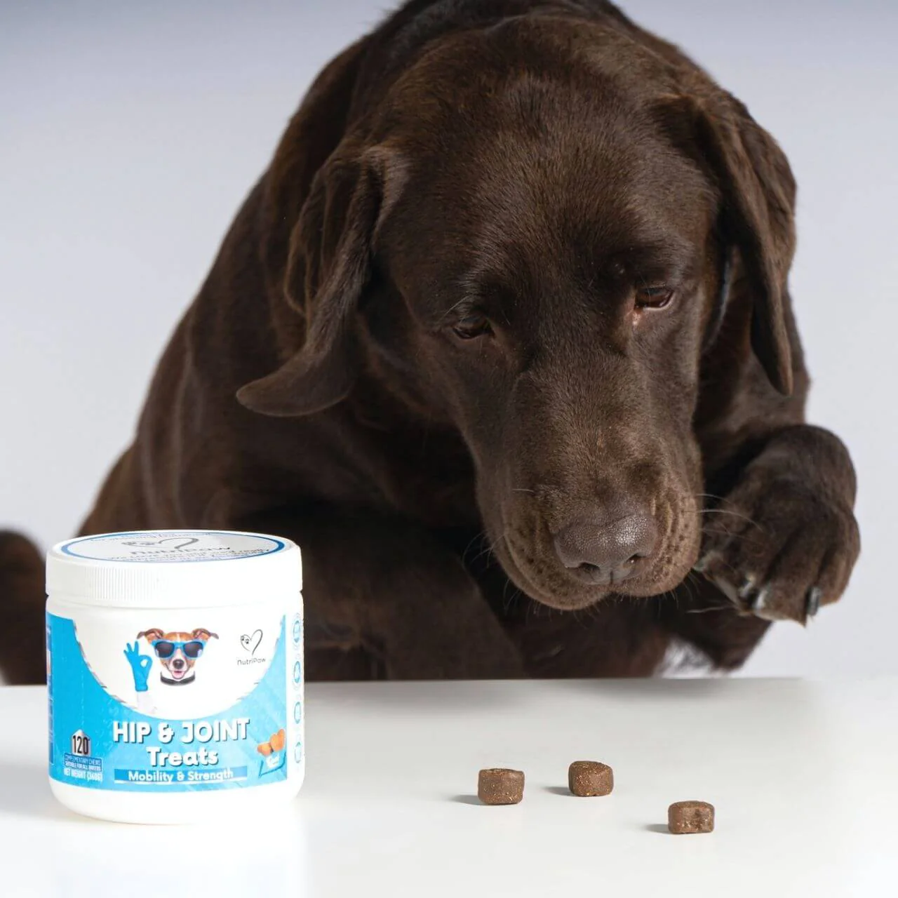 Hip & Joint Treats - Image 8