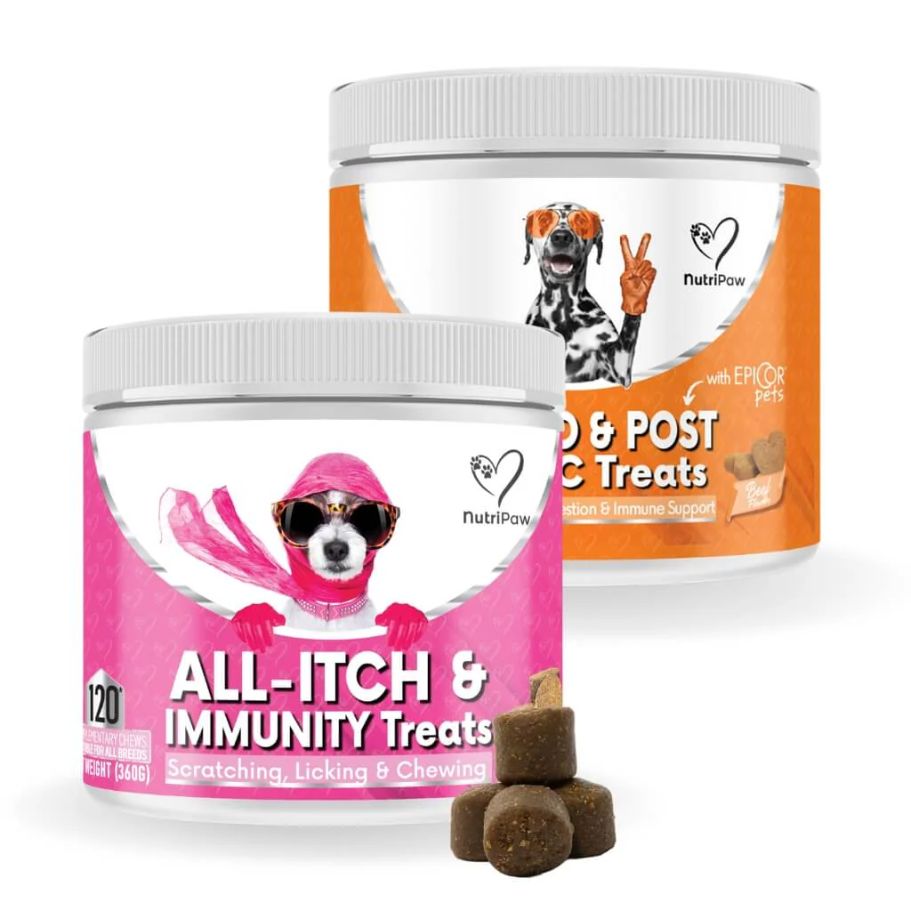 Best Selling Kits