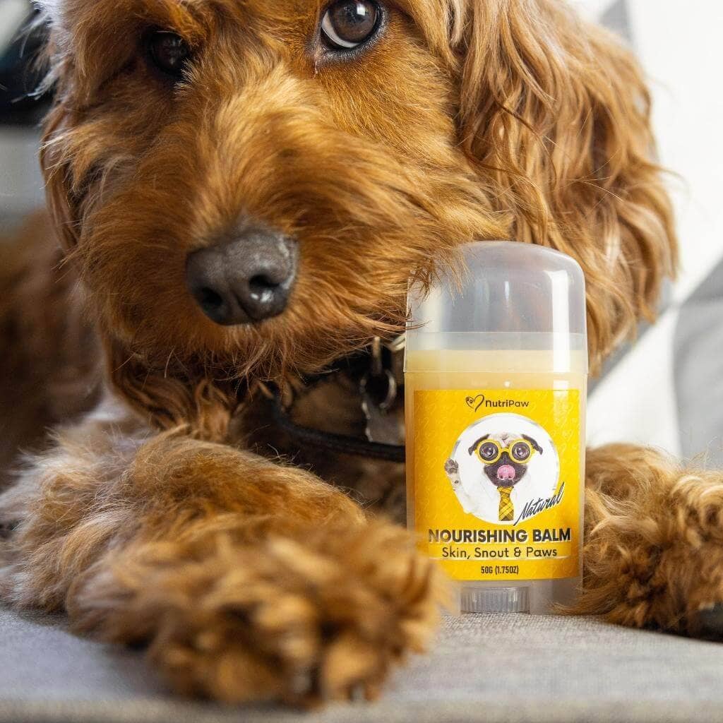 Itchy Dog Kit - Image 13
