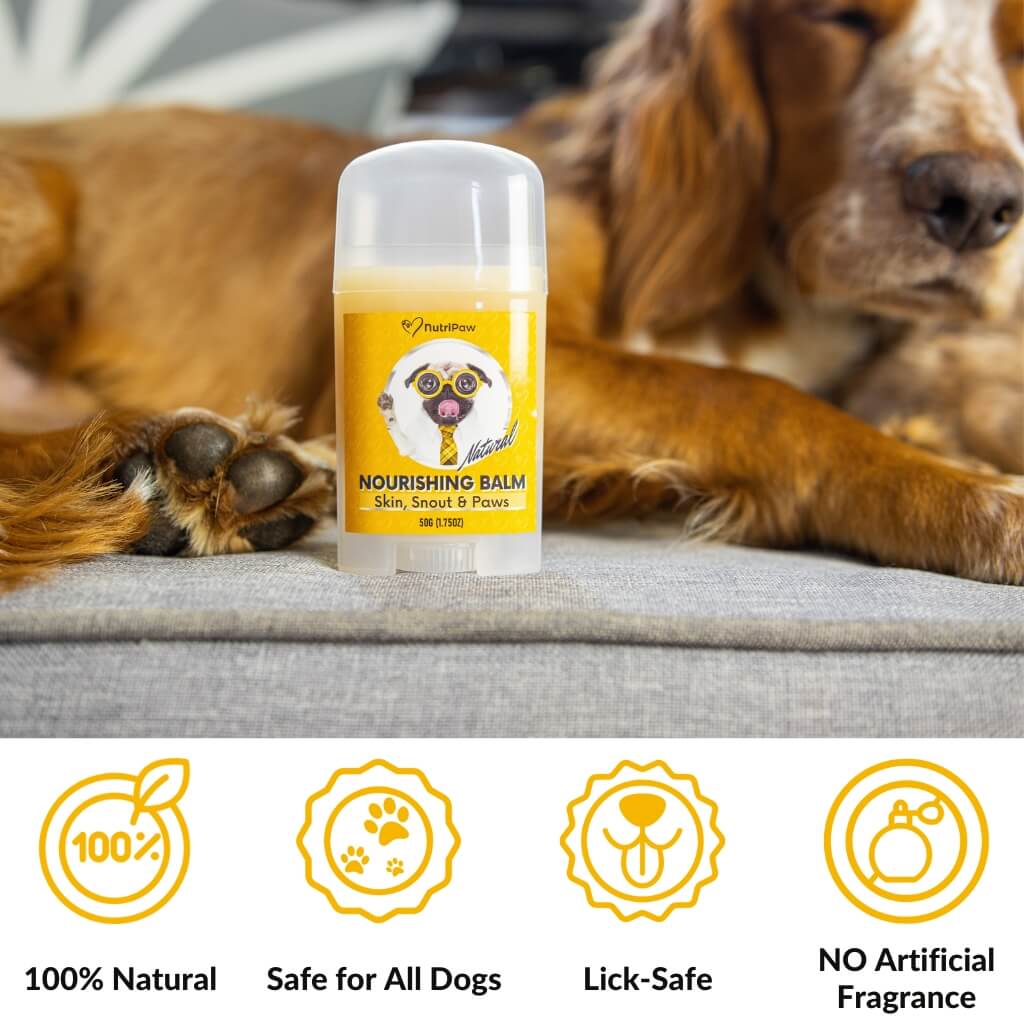 Itchy Dog Kit - Image 16