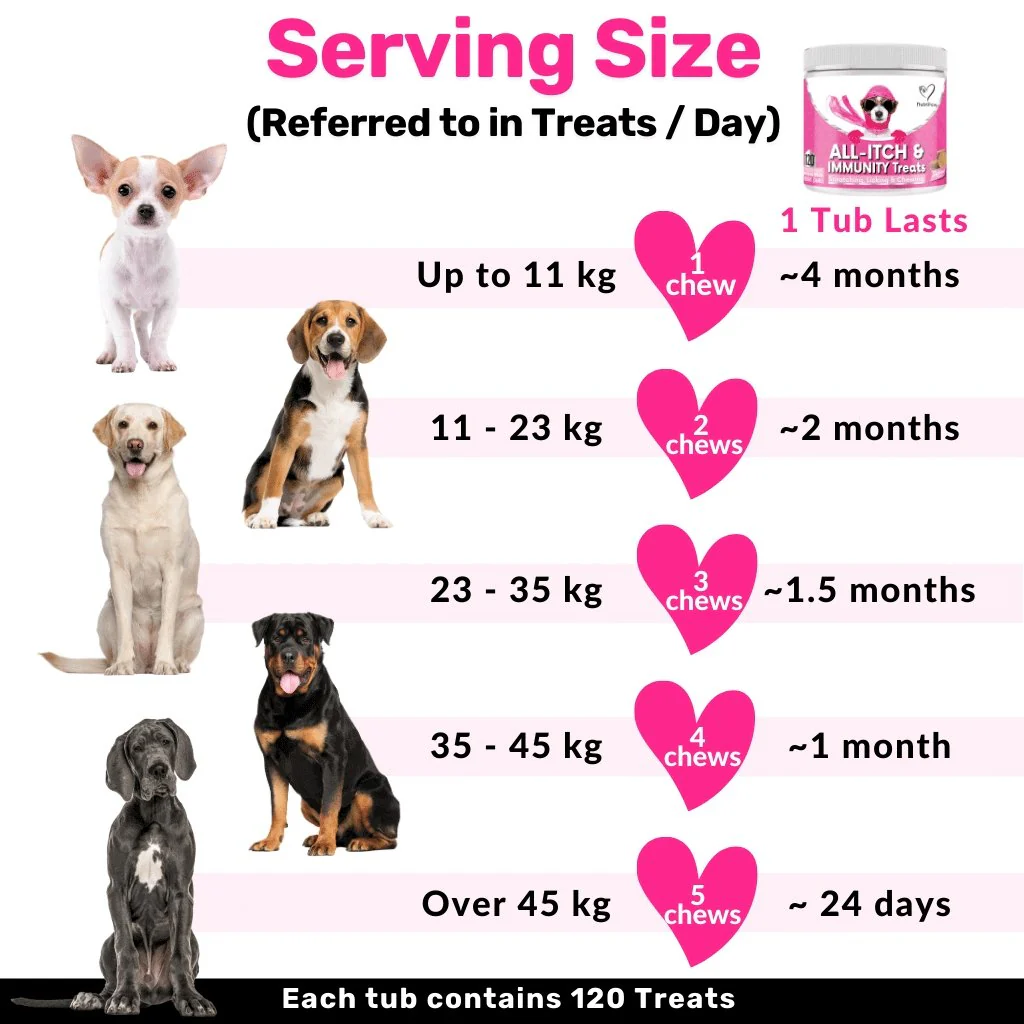 Itchy Dog Kit - Image 9
