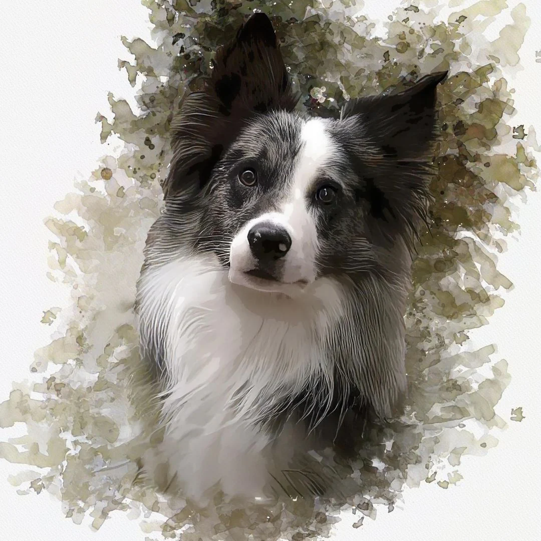 NutriPaw Personalised Pet Portrait - Image 12