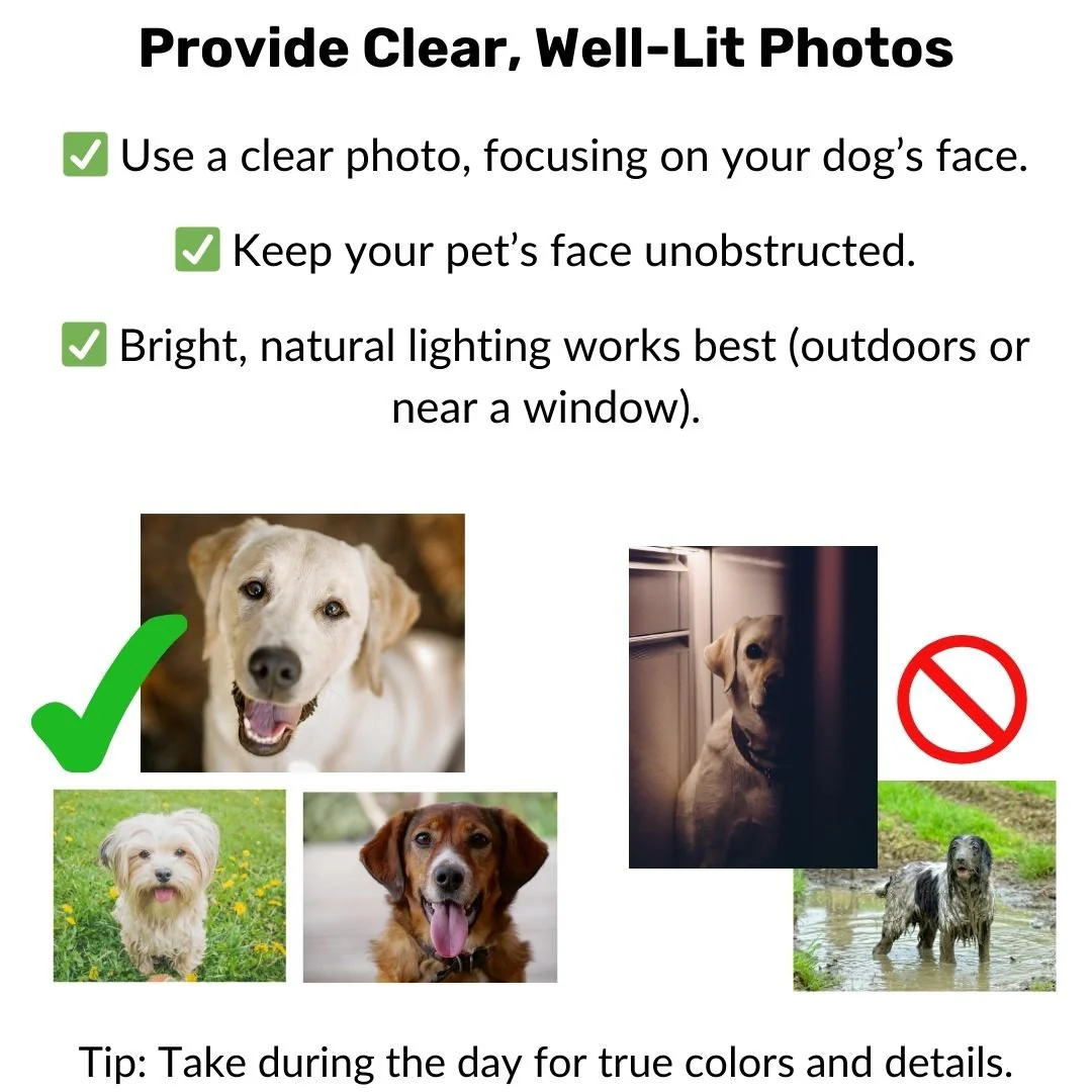 NutriPaw Personalised Pet Portrait - Image 9