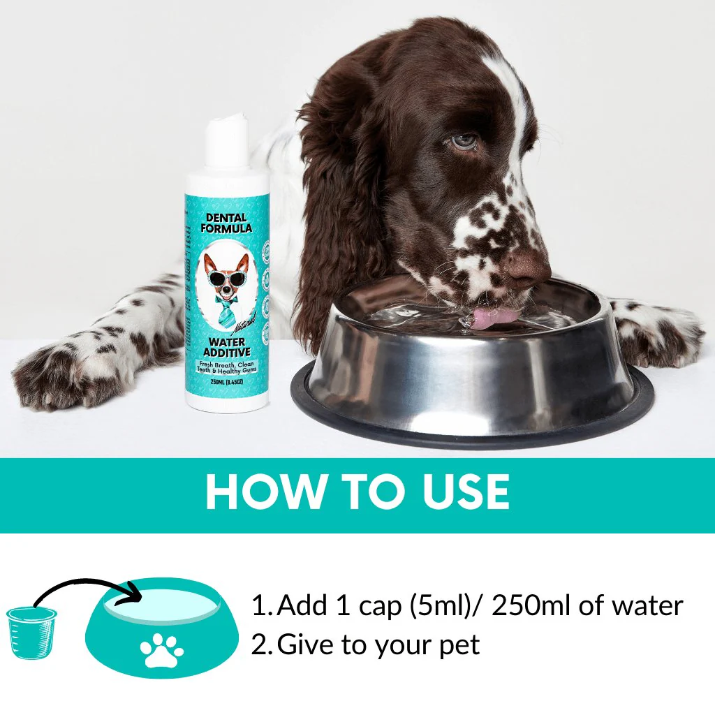 NutriPaw's #1 Kit - Image 11