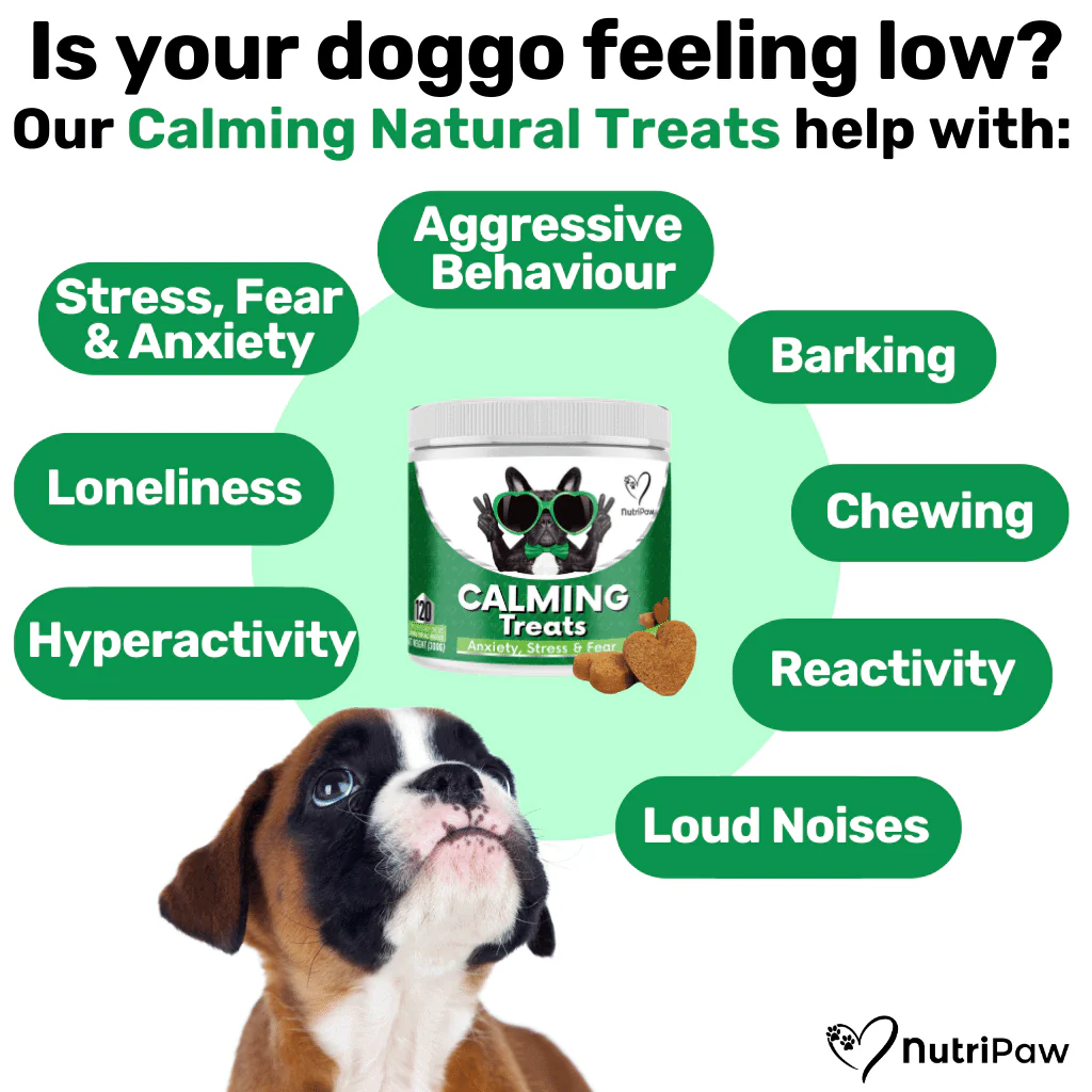 NutriPaw's #1 Kit - Image 15