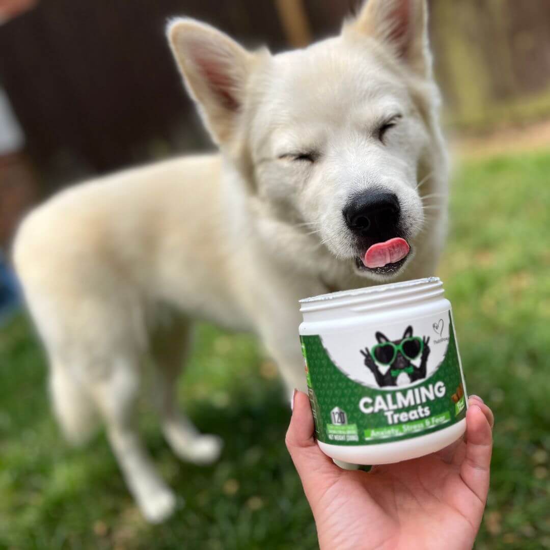 NutriPaw's #1 Kit - Image 16