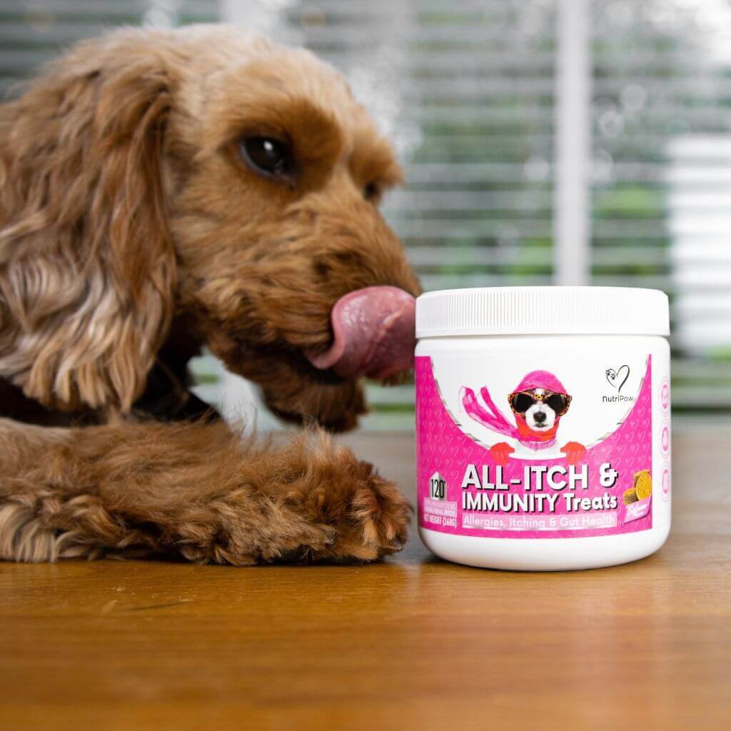 NutriPaw's #1 Kit - Image 3
