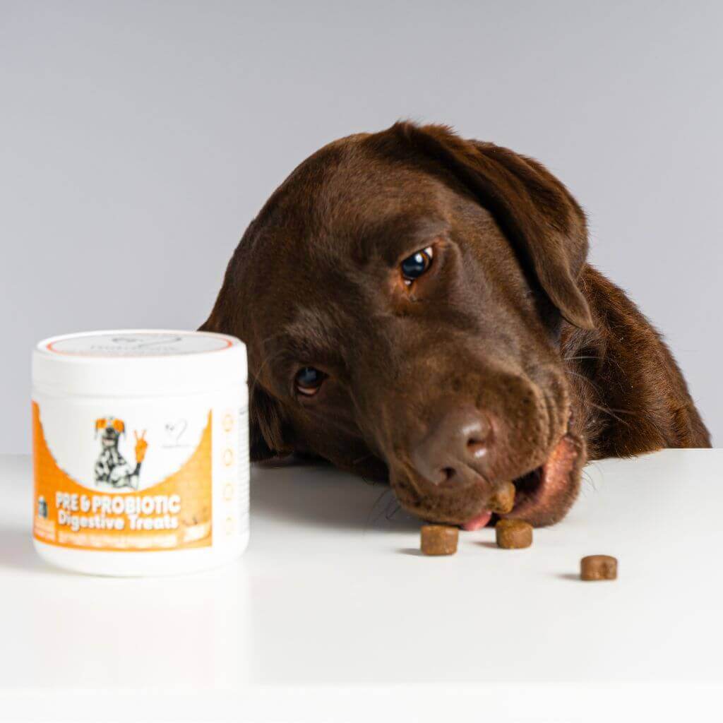 NutriPaw's #1 Kit - Image 6