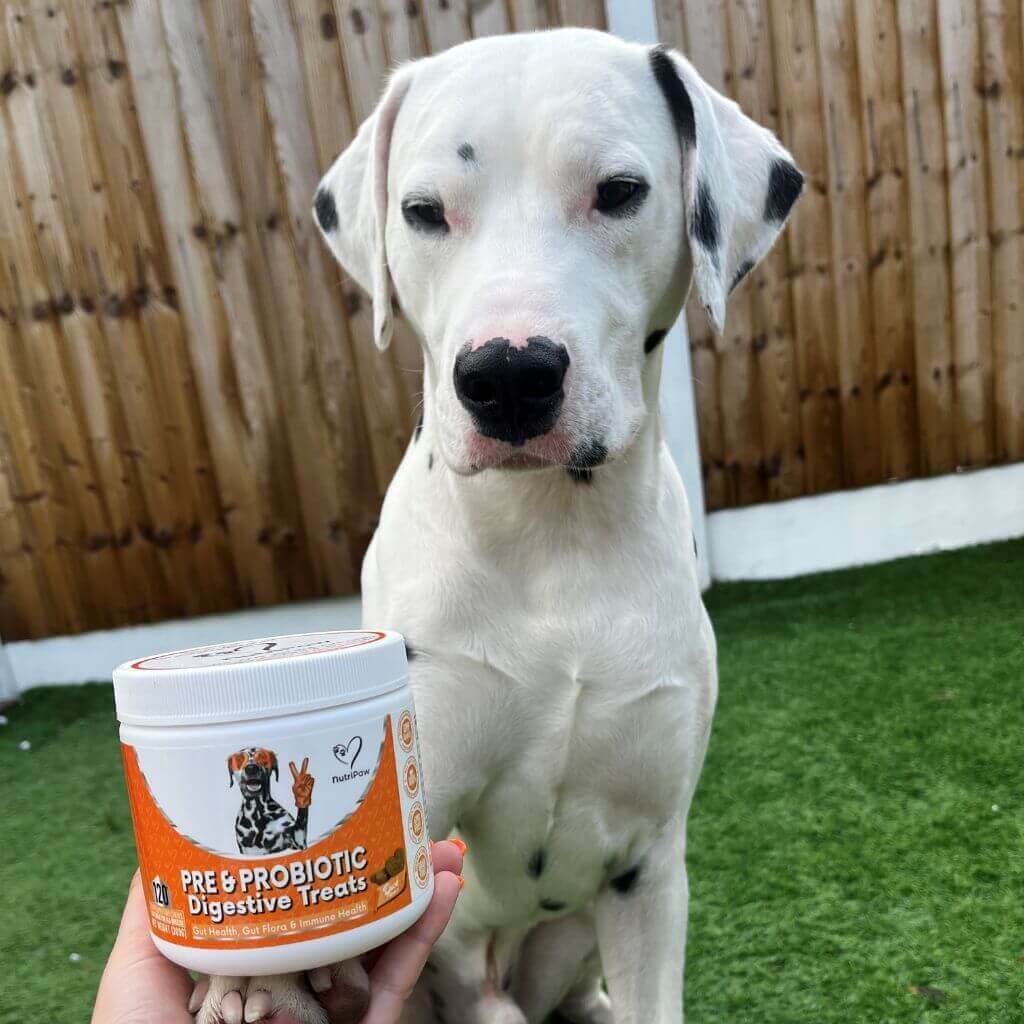 NutriPaw's #1 Kit - Image 8