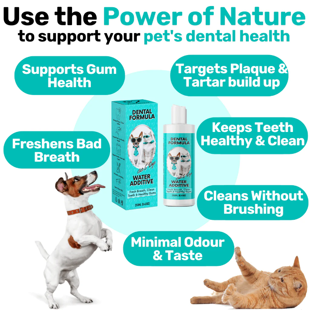 NutriPaw's #1 Kit - Image 9
