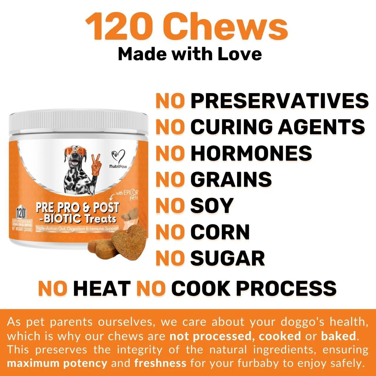 Pre, Pro & Postbiotic Digestive Treats - Image 11