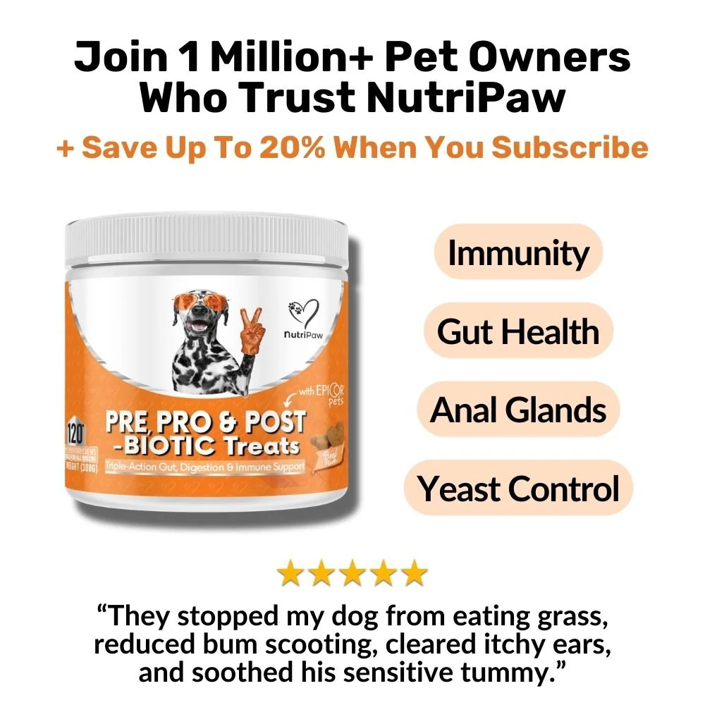 Pre, Pro & Postbiotic Digestive Treats - Image 12