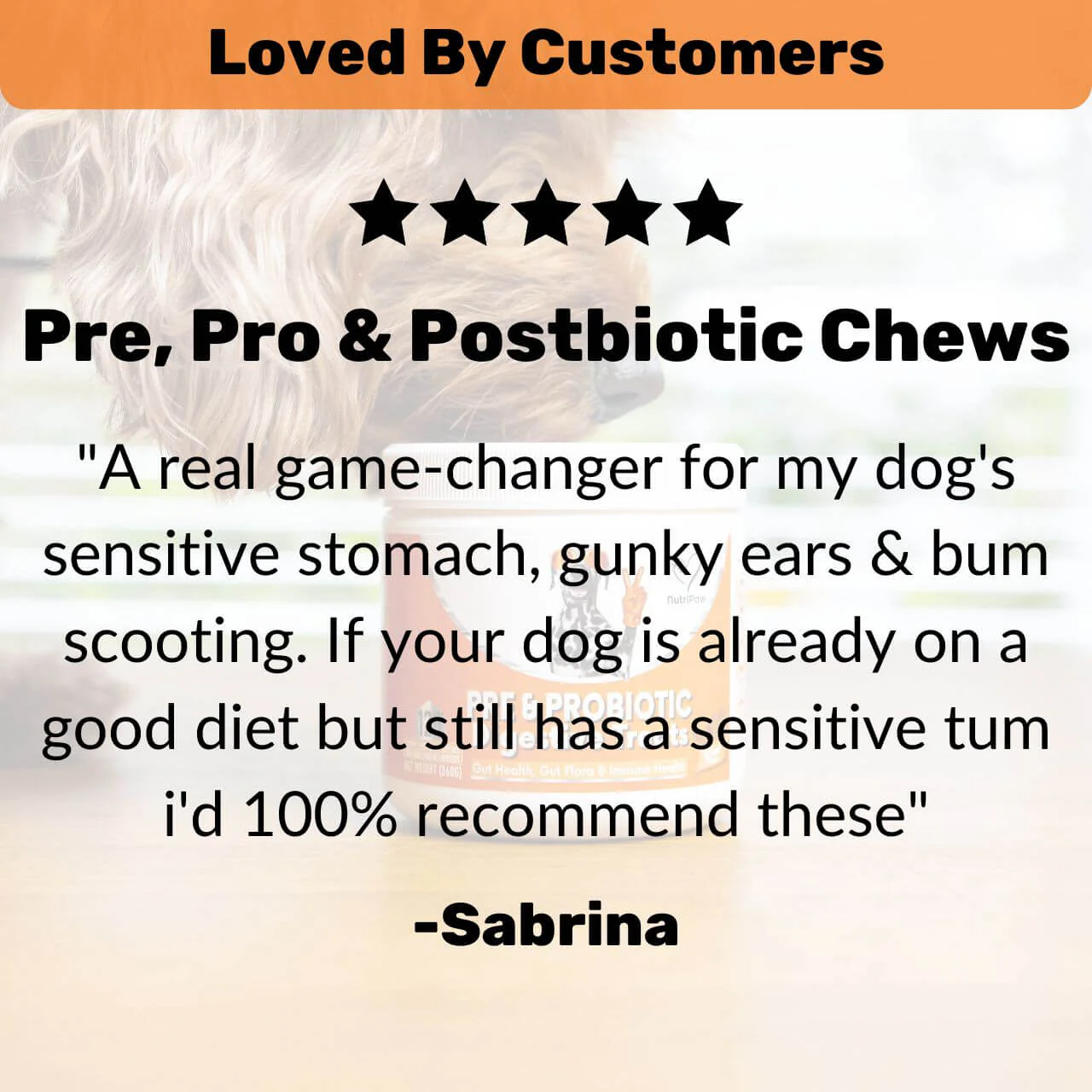 Pre, Pro & Postbiotic Digestive Treats - Image 3