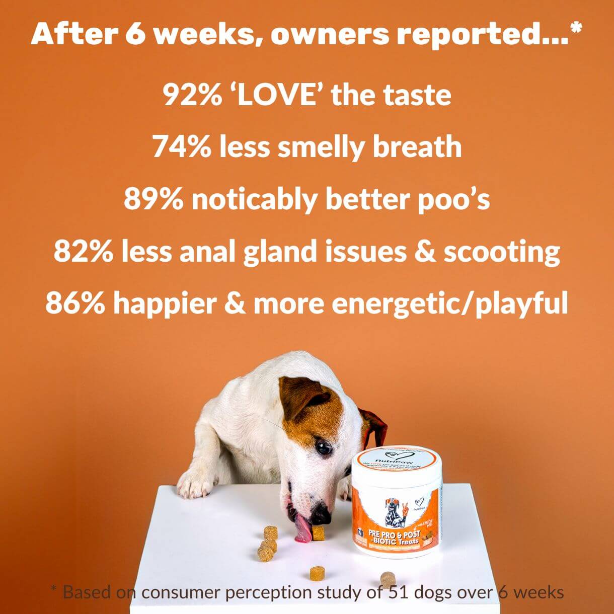Pre, Pro & Postbiotic Digestive Treats - Image 4