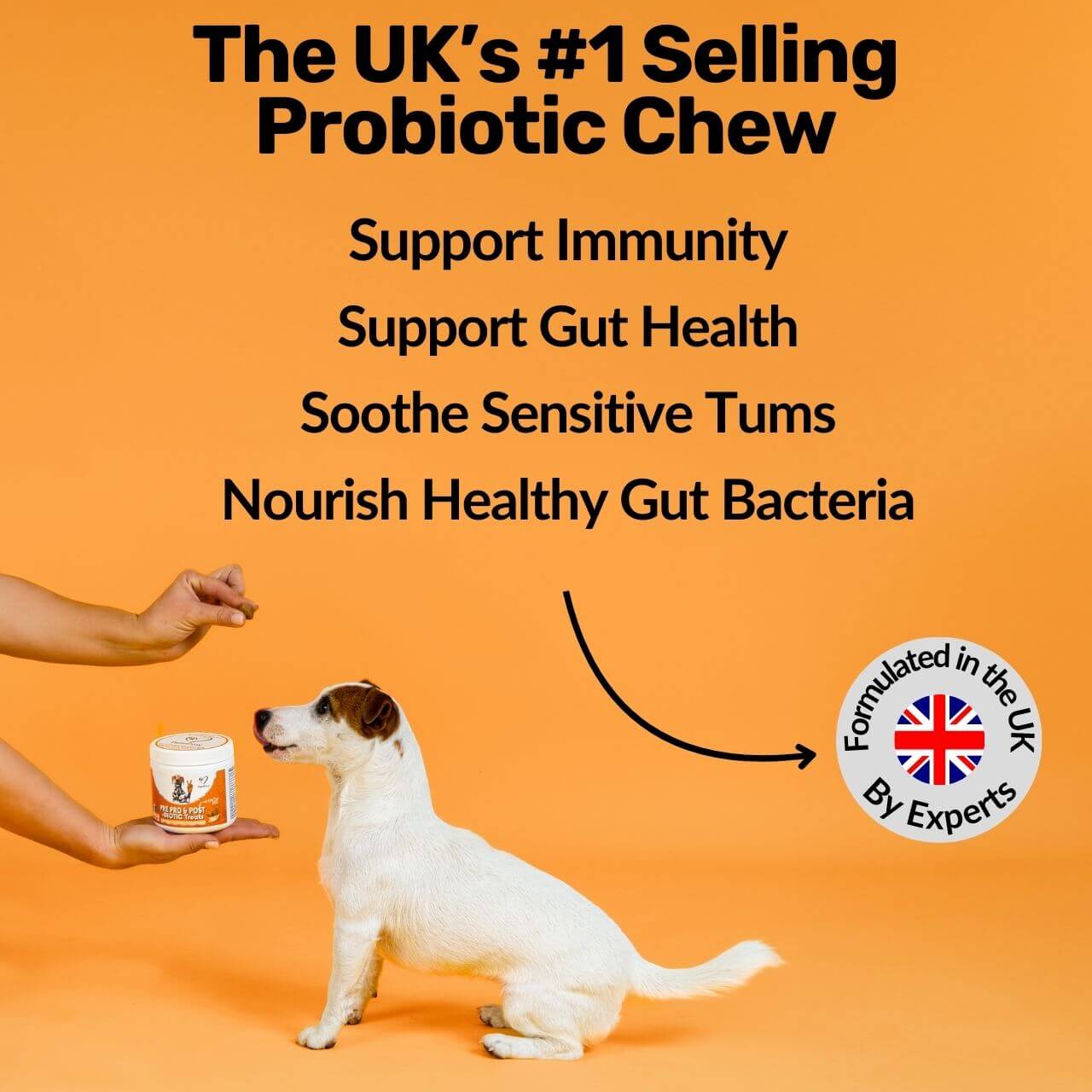Pre, Pro & Postbiotic Digestive Treats - Image 6