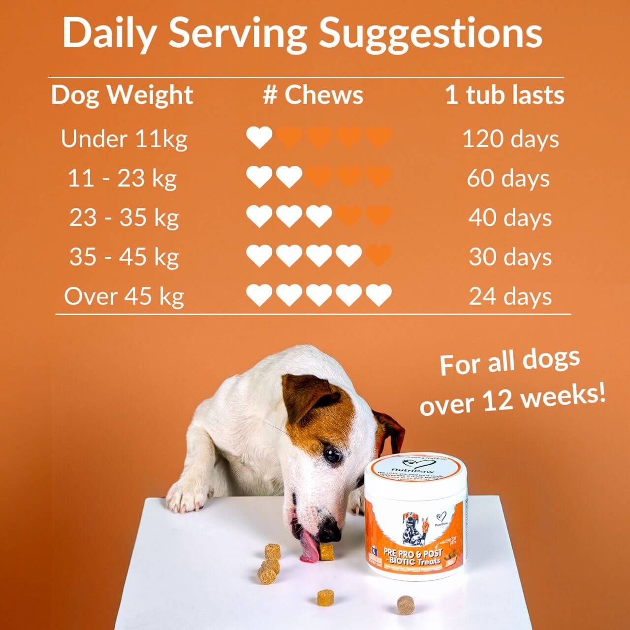 Pre, Pro & Postbiotic Digestive Treats - Image 7