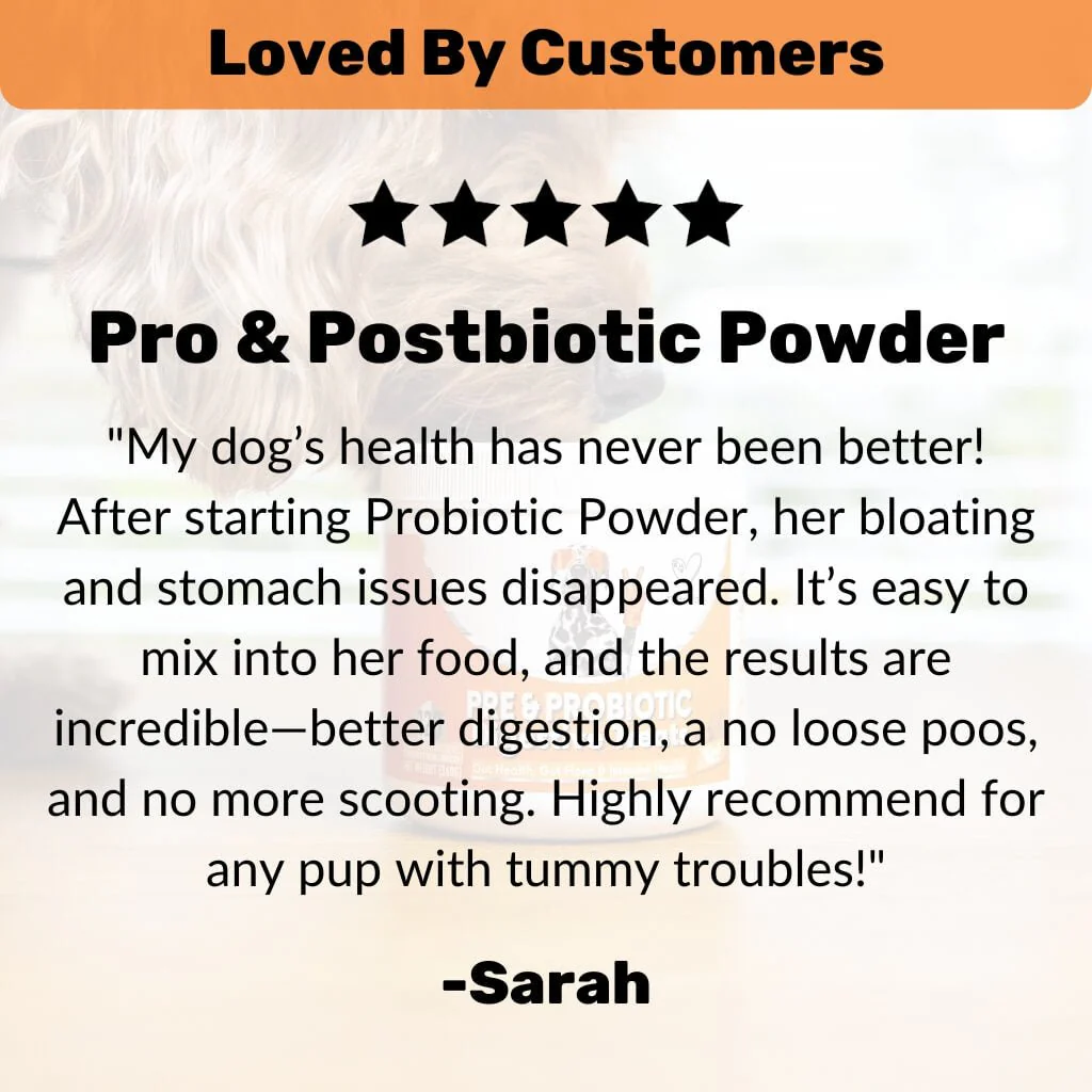 Pre, Pro & Postbiotic Powder - Image 8
