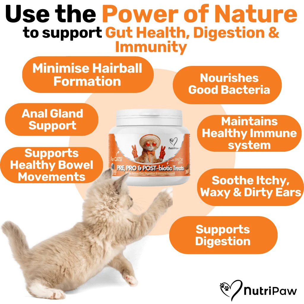 Probiotics & Hairball Chews - Image 3