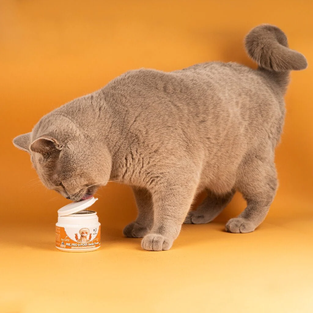 Probiotics & Hairball Chews - Image 4