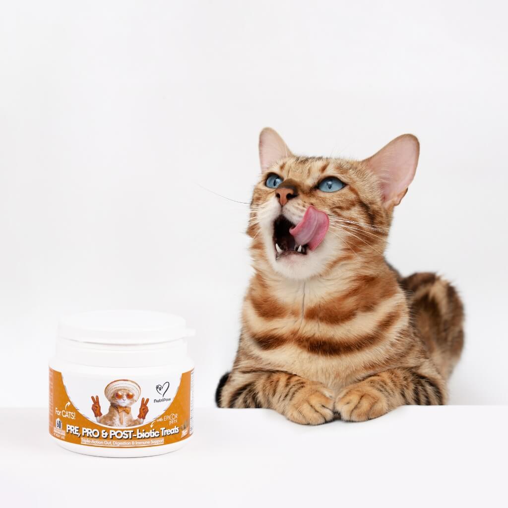 Probiotics & Hairball Chews - Image 6