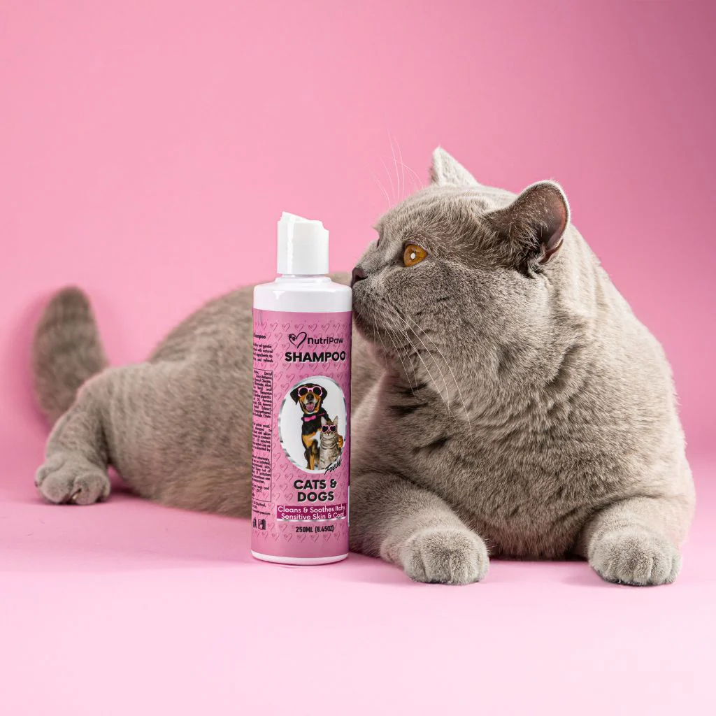 Shampoo - Image 7
