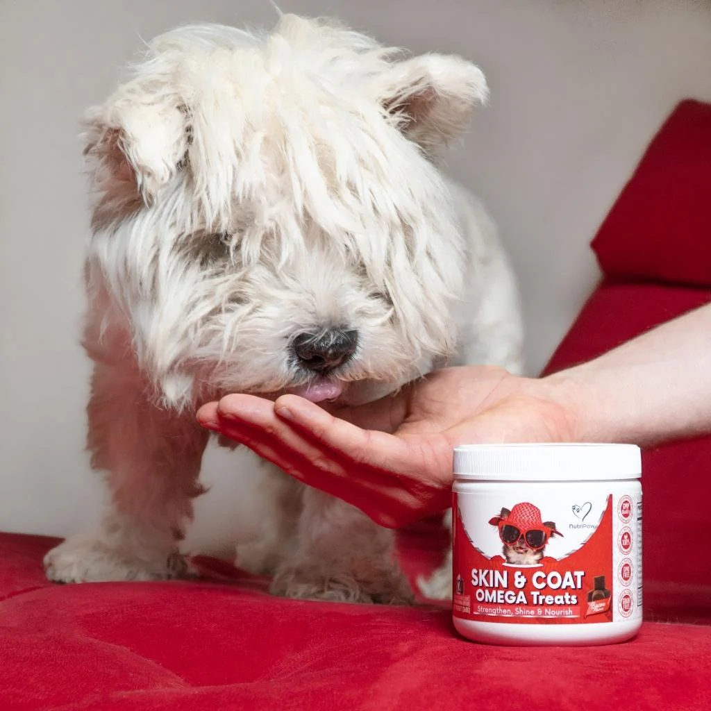 Skin & Coat Treats - Image 12