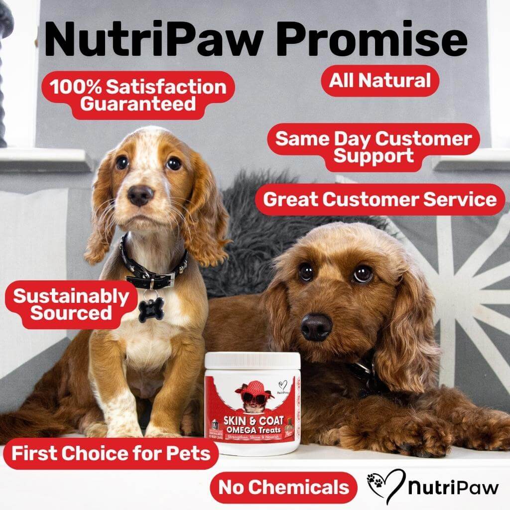 Skin & Coat Treats - Image 13