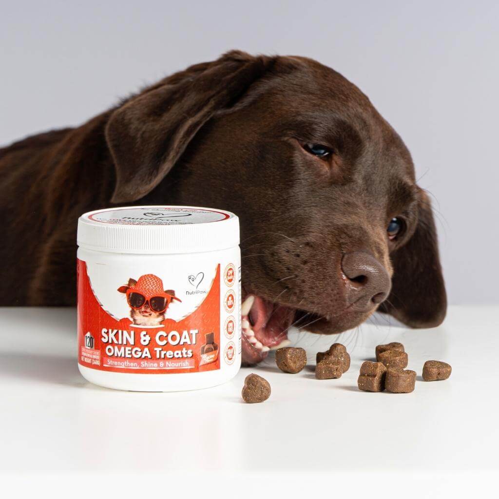 Skin & Coat Treats - Image 14