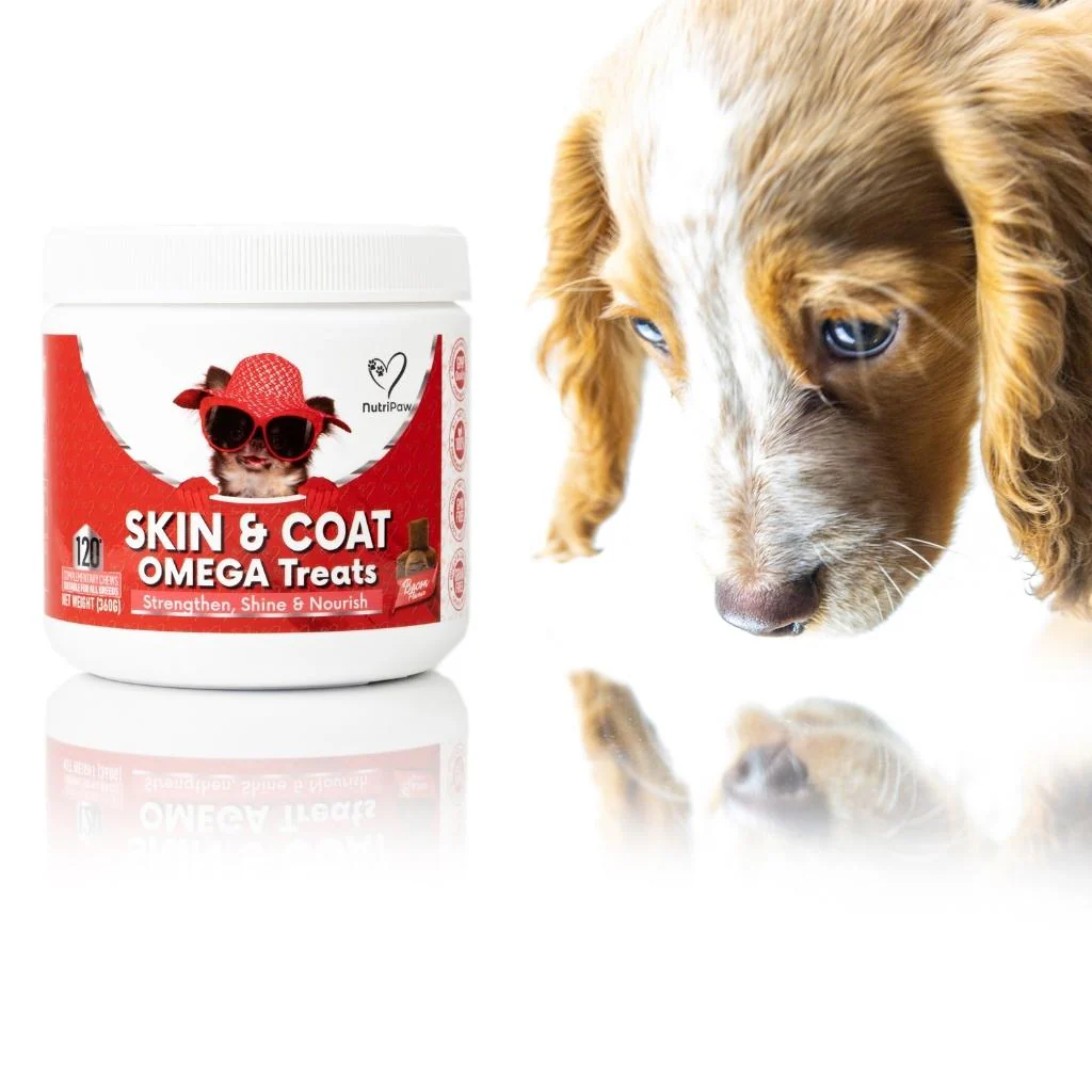 Skin & Coat Treats - Image 6