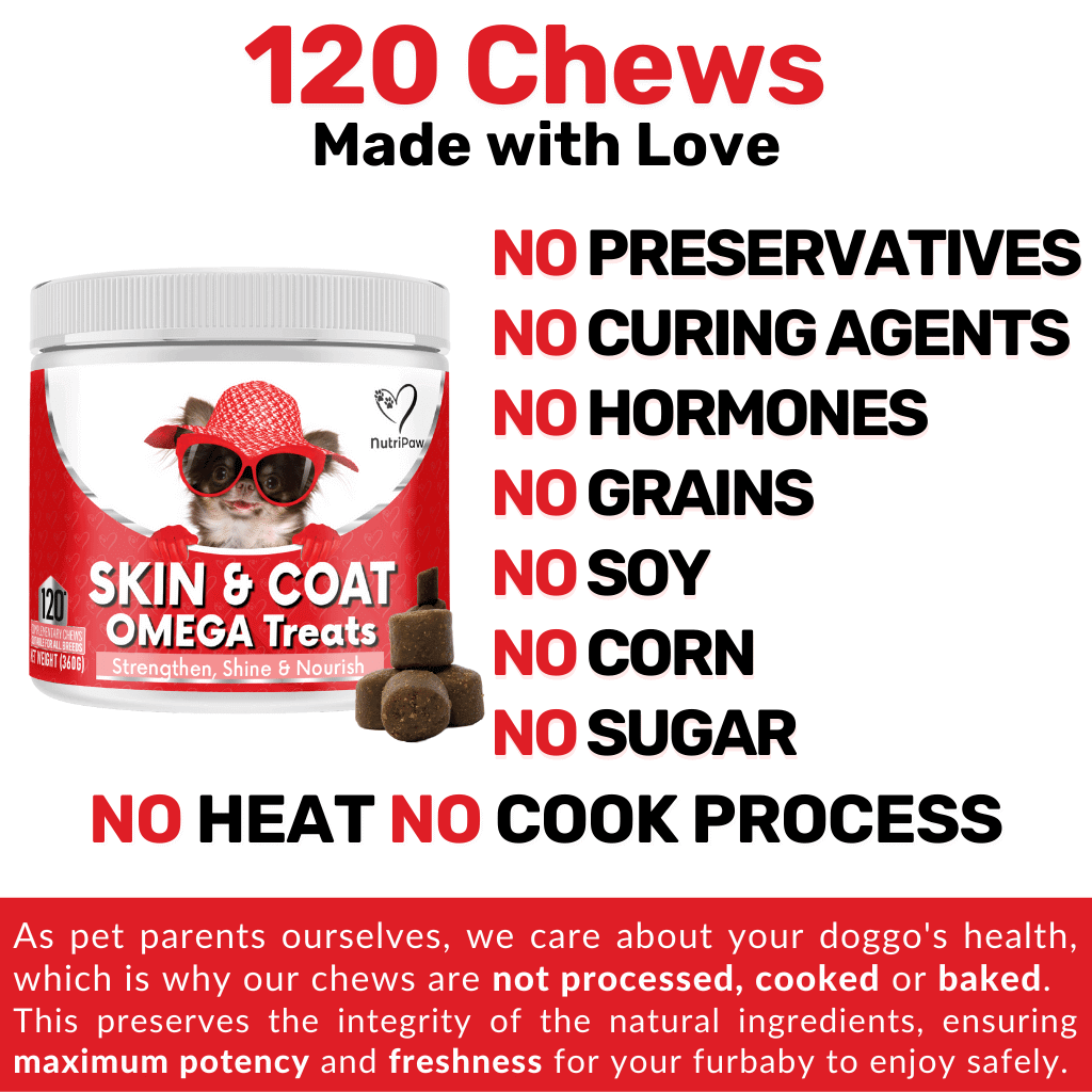 Skin & Coat Treats - Image 8