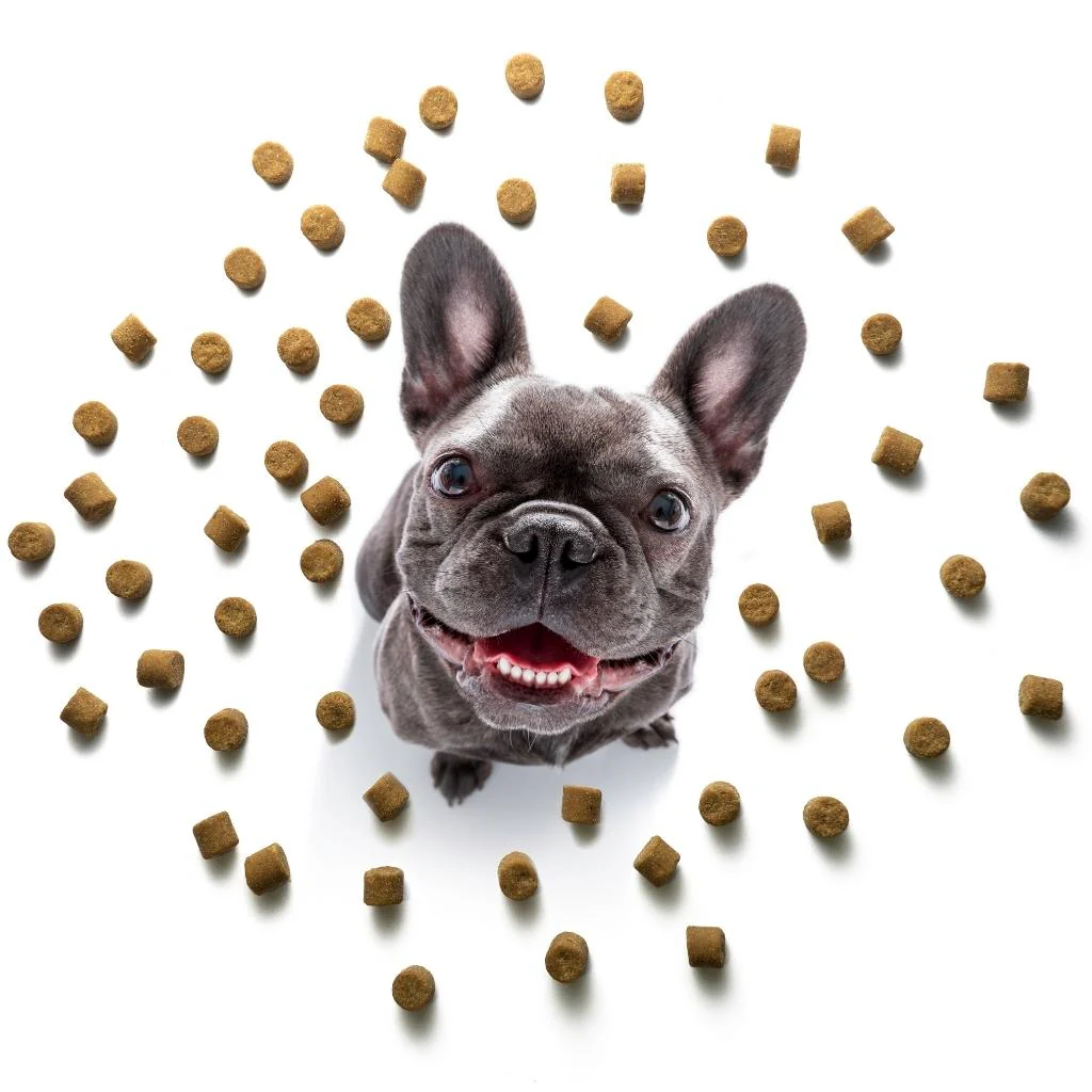 Skin & Coat Treats - Image 9